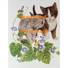 Playful Cats  - #XS2741  -  PRINT